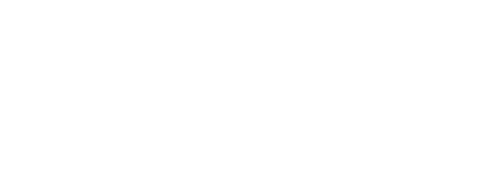 valstar automotive wit-wit PNG